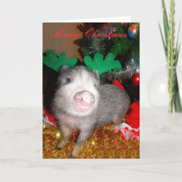 Festiva Cerdo reno navidad, tarjeta de saludo