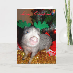 Festiva Cerdo reno navidad, tarjeta de saludo