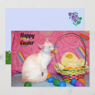 Festiva Cesta de Pascua de Tiffany = Cat - Tarjeta plana
