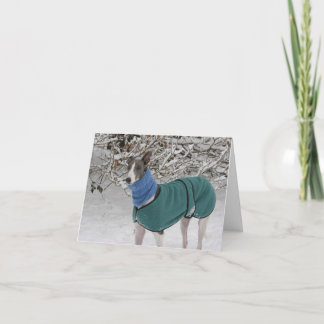 Festiva Chica Snowy: Tarjeta de Navidades Greyhound