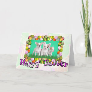 Festiva Chihuahua cachorros Tarjeta de Pascua