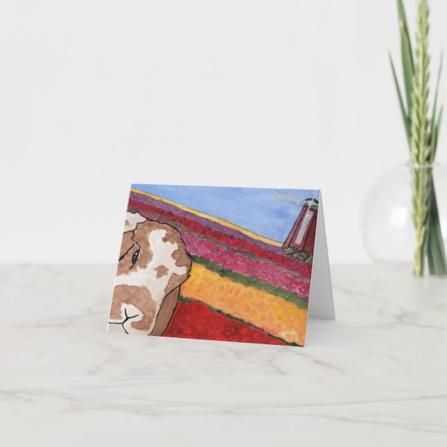 Festiva Coconut's Adventures: Tarjeta de felicitación de m (Anverso)