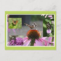 Collage de mariposa de mapa postal DIY