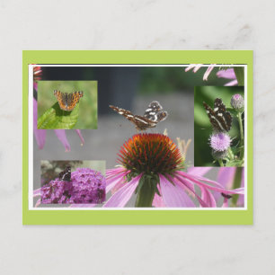 Festiva Collage de mariposa de mapa postal DIY