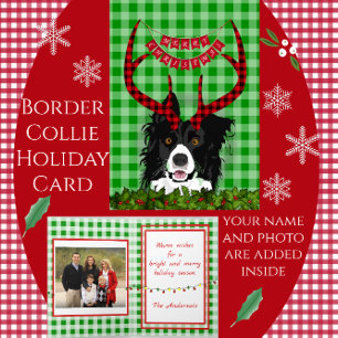 Festiva Collie de borde con Antlers Tarjeta navideña de Fe