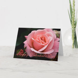 Festiva Color de rosa rosado • Tarjeta de felicitación del