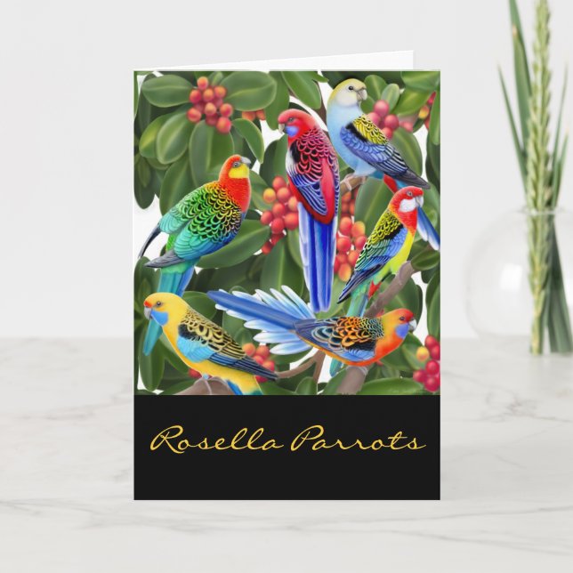 Festiva Colorida tarjeta de loros rosella (Anverso)