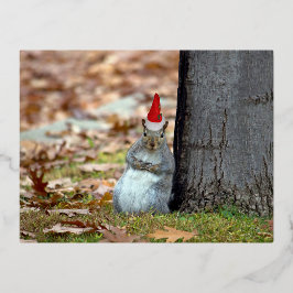 Festiva Con Relieve Metalizado Funny postal de Squirrel Santa Navidades
