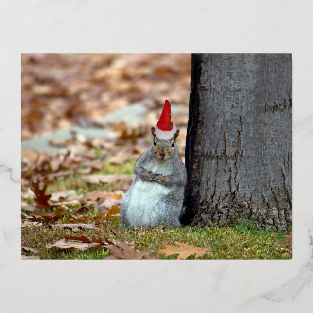 Festiva Con Relieve Metalizado Funny postal de Squirrel Santa Navidades (Anverso)