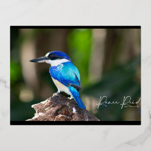 Festiva Con Relieve Metalizado postal azul king Fisher