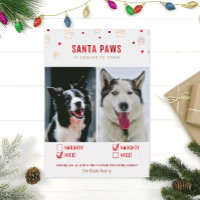 Tarjeta de foto de dos perros Rose Gold Foil Malo