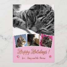Tarjeta de vacaciones de collage de fotos de gato 