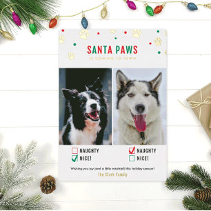 Festiva Con Relieve Metalizado Tarjeta fotográfica de dos perros traviesos o boni