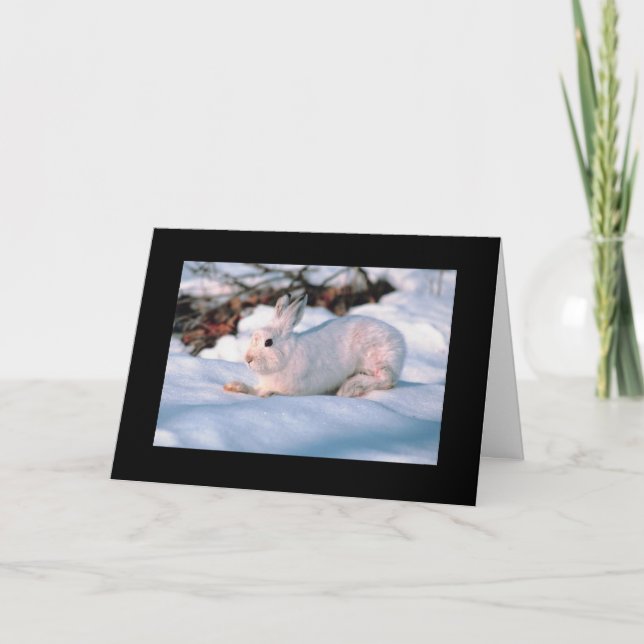 Festiva Conejito del blanco de la tarjeta del día de (Anverso)