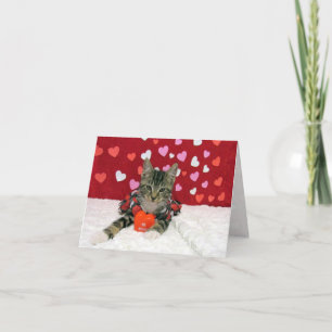 Festiva Corazón de San Valentín de Bandit - Tarjeta gata/g
