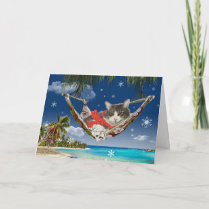 Festiva Corduroy en el Caribe, tarjeta de felicitación de 