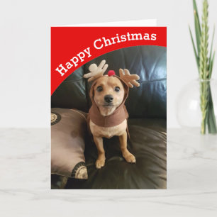 Festiva Crea tu propia tarjeta de Navidades felices