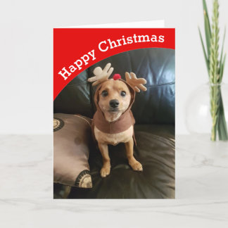 Festiva Crea tu propia tarjeta de Navidades felices