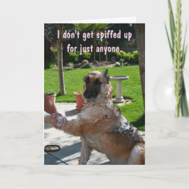 Festiva Cualquier cosa para tu tarjeta El día de San Valen