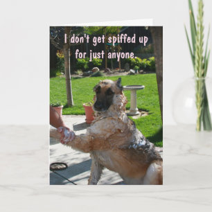 Festiva Cualquier cosa para tu tarjeta El día de San Valen