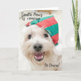Festiva Cuidada tarjeta fluffy de navidades de perro blanc