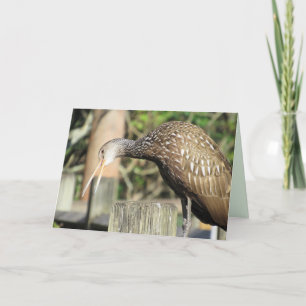 Festiva Curiosa tarjeta de felicitación Limpkin