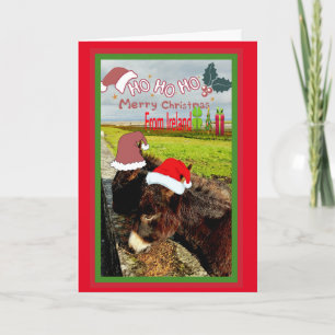 Festiva Cuta tarjeta de Navidades irlandeses de Santa Donk
