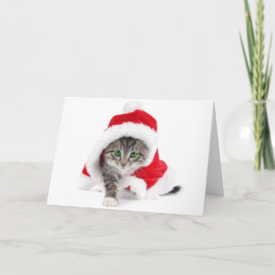 Festiva Cute gatito en tarjeta de Navidades de Santa Suit