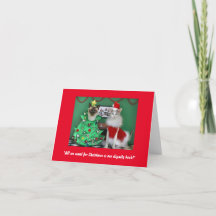 Cute gatos en una tarjeta de Navidades perfecta