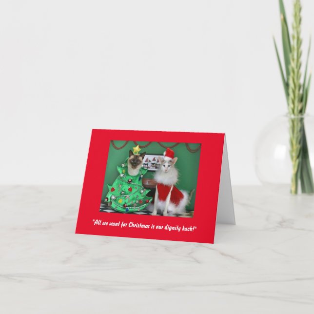 Festiva Cute gatos en una tarjeta de Navidades perfecta (Anverso)