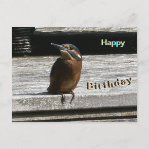 Festiva Cute Kingfisher cierra postal feliz cumpleaños