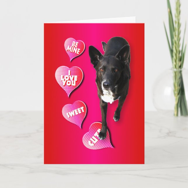 Festiva Cute tarjeta de perro de San Valentín (Anverso)
