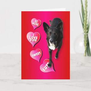 Festiva Cute tarjeta de perro de San Valentín