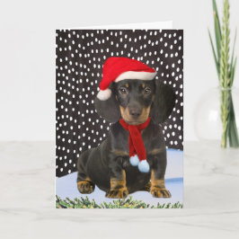 Festiva Dachshund Una Tarjeta De Navidades Del Día De La N