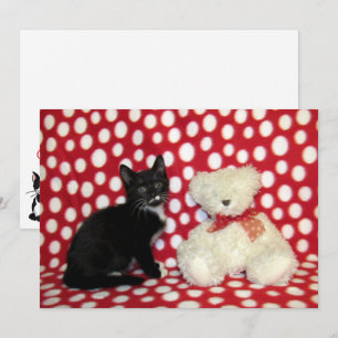 Festiva Davina el gato y la tarjeta plana de osito de pelu