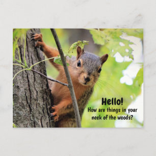 Festiva De mi cuello del bosque a tu postal