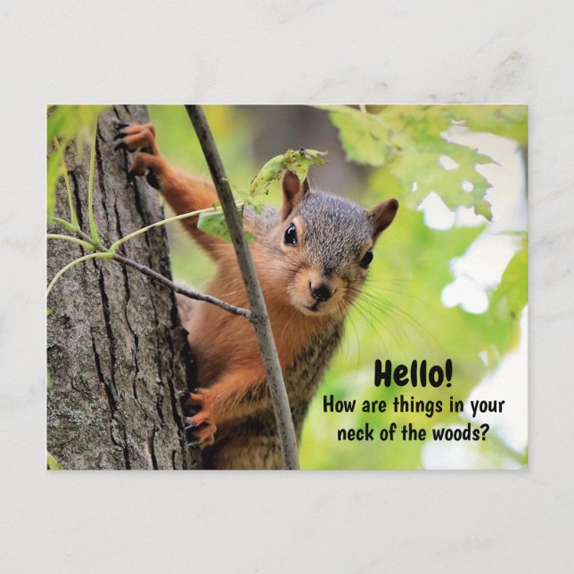 Festiva De mi cuello del bosque a tu postal (Anverso)