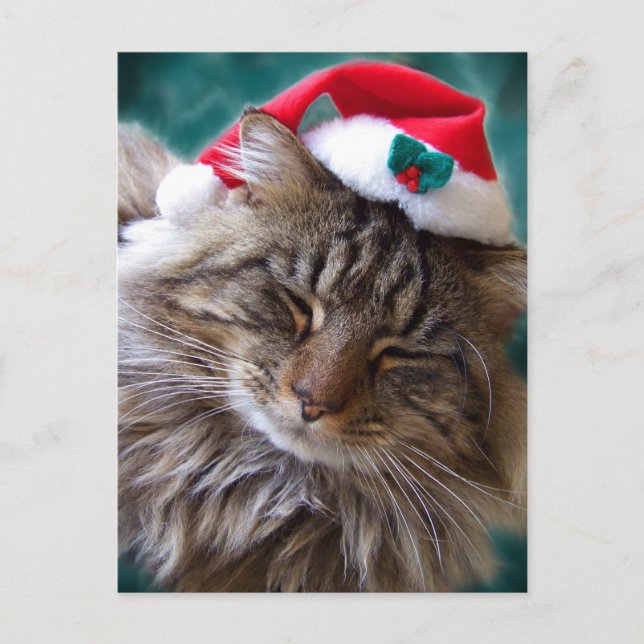 Festiva Despiértame la postal de Santa Cat (Anverso)