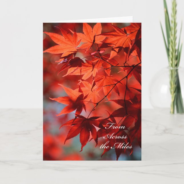 Festiva Día de Acción de Gracias desde la tarjeta de milla (Anverso)