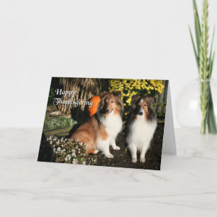 Festiva Día de Acción de Gracias por Tarjeta de Amigos