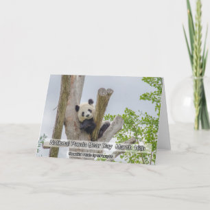 Festiva Día Nacional del Panda 16 de Marzo Tarjeta de vaca