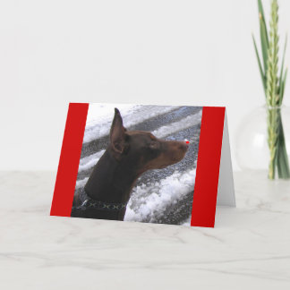 Festiva Doberman con la tarjeta roja del día de fiesta de