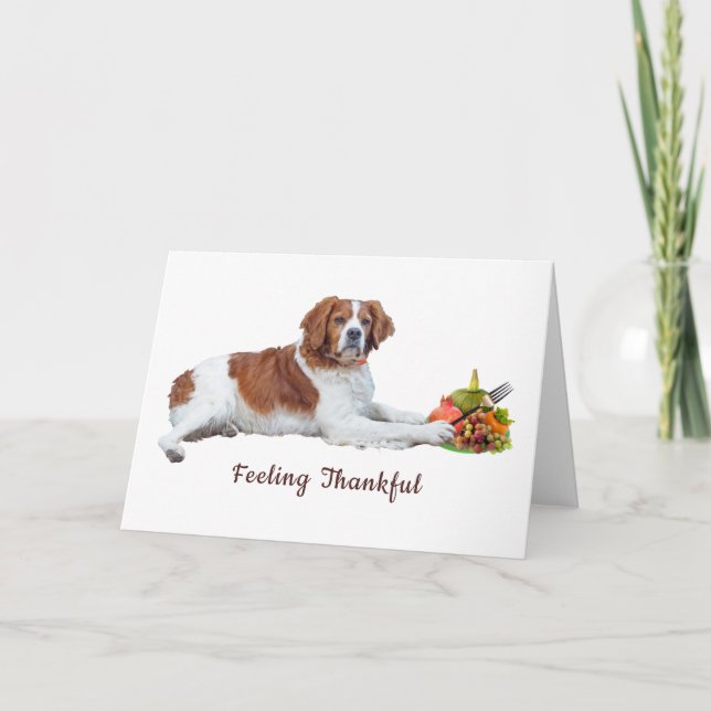 Festiva Dog con tarjeta de agradecimiento por comida (Anverso)