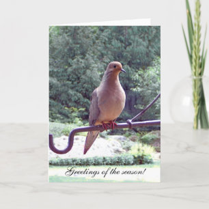Festiva Dove solsticio de primavera tarjeta de saludo de P