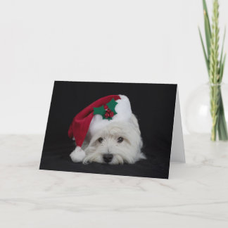 Festiva Dreamer la pesky tarjeta de Navidades occidentales