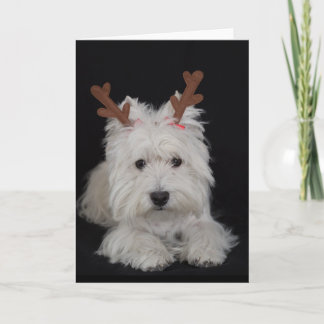 Festiva Dreamer la pesky tarjeta de Navidades occidentales