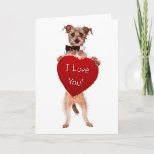 Festiva El caer linda en tarjeta de felicitación del amor
