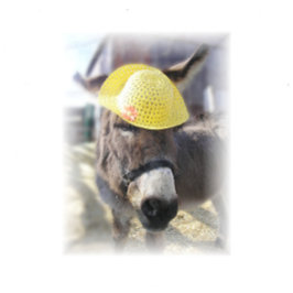 Festiva "El conejo de Pascua real" Tarjeta de vacaciones