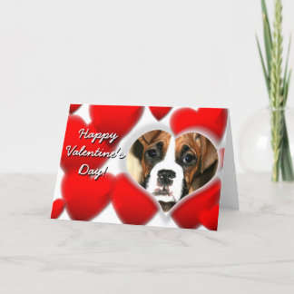 Festiva El día de San Valentín Boxer tarjeta de saludo de 