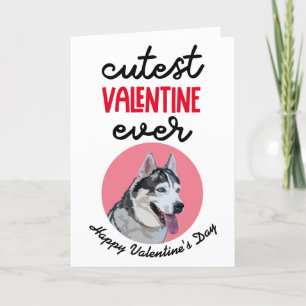 Festiva El San Valentín más lindo... tarjeta de tu Husky